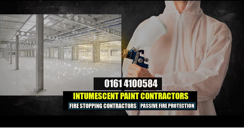 intumescent Paint contractors steel structure Purlins Beams Deckins Fire protection 01614100584